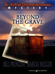 Bill Pronzini - Beyond the Grave