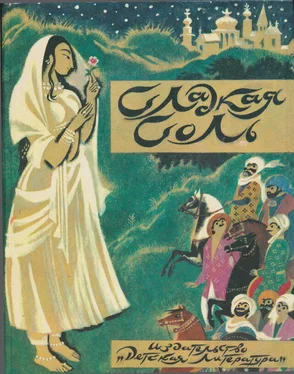 Неизвестный Автор Сладкая соль: пакистанские сказки обложка книги