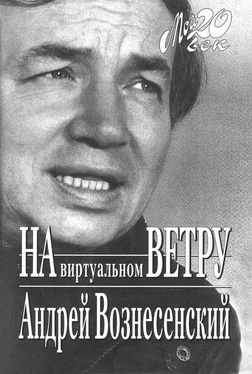 Андрей Вознесенский На виртуальном ветру обложка книги