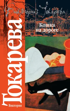 Виктория Токарева Кошка на дороге (сборник) обложка книги