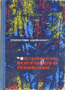 Златослава Каменкович Опасное молчание обложка книги