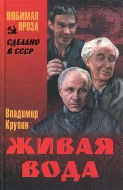 Владимир Крупин Спасенье погибших обложка книги