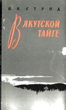 Иван Строд В якутской тайге обложка книги