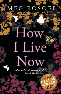 Meg Rosoff How I Live Now обложка книги