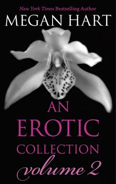 Megan Hart An Erotic Collection Volume 2 обложка книги