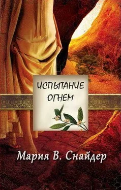 Мария Снайдер Испытание огнем обложка книги