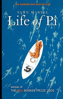 Yann Martel Life of Pi обложка книги