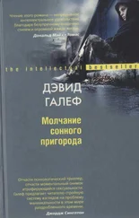 Дэвид Галеф - Молчание сонного пригорода