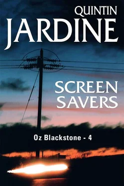 Quintin Jardine Screen Savers обложка книги