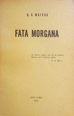 Дмитрий Магула Fata Morgana обложка книги