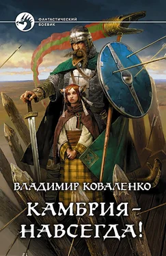 Владимир Коваленко Камбрия - навсегда! обложка книги