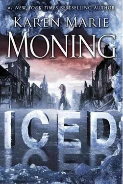 Карен Монинг Iced обложка книги