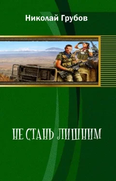 Николай Грубов Не сталь лишним обложка книги