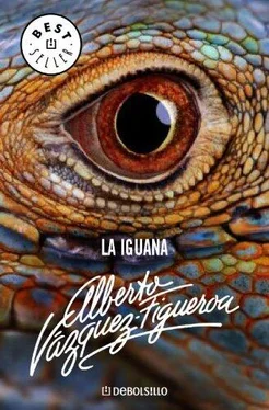 Alberto Vázquez-Figueroa La Iguana
