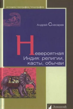 Андрей Снесарев Невероятная Индия: религии, касты, обычаи обложка книги