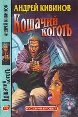 Андрей Кивинов Братство по оружию обложка книги