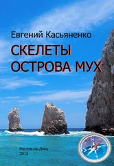 Евгений Касьяненко - Скелеты Острова мух