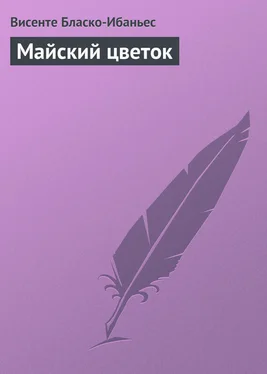 Висенте Бласко-Ибаньес Майский цветок обложка книги