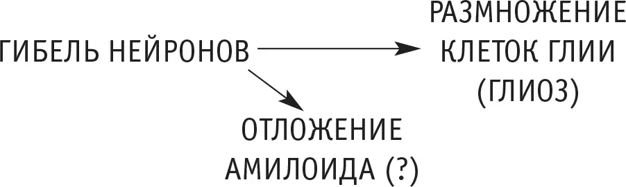 И такое представление о развитии морфологических повреждений мозговой ткани при - фото 41