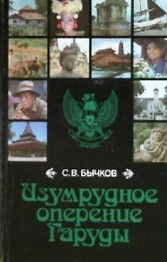 Станислав Бычков Изумрудное оперение Гаруды (Индонезия, записки) обложка книги