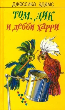 Джессика Адамс Том, Дик и Дебби Харри обложка книги