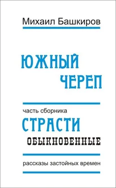 Михаил Башкиров Южный череп обложка книги