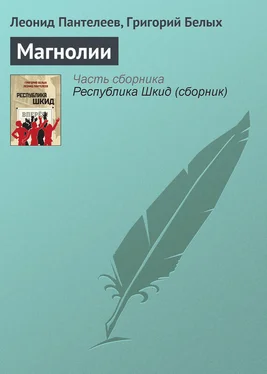 Леонид Пантелеев Магнолии обложка книги