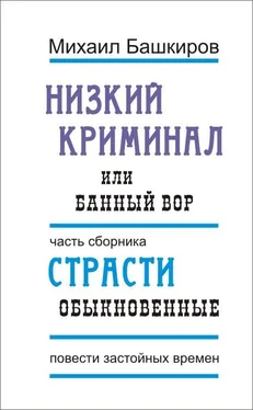 Михаил Башкиров Низкий криминал, или Банный вор обложка книги