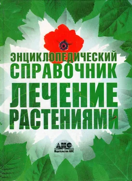 Геннадий Непокойчицкий Лечение растениями. Энциклопедический справочник обложка книги