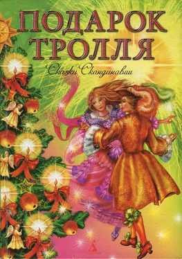 Сакариус Топелиус Подарок тролля обложка книги