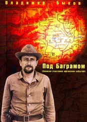 Владимир Быков - Под Баграмом