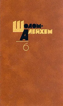 Шолом Алейхем Шолом Алейхем! обложка книги