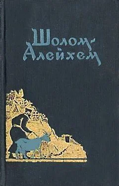 Шолом Алейхем Иосиф (Рассказ джентльмена) обложка книги