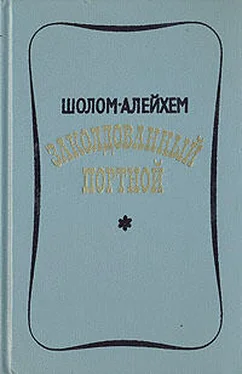 Шолом Алейхем Заколдованный портной обложка книги