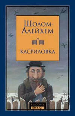 Шолом Алейхем Город маленьких людей обложка книги