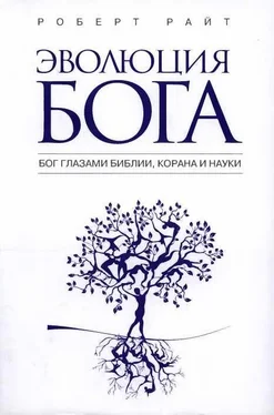 Роберт Райт Эволюция бога: Бог глазами Библии, Корана и науки обложка книги