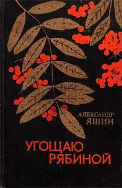 Александр Яшин Выскочка обложка книги