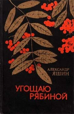 Александр Яшин Две берлоги обложка книги