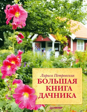 Лариса Петровская Большая книга дачника обложка книги