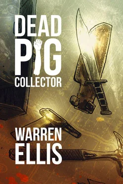 Warren Ellis Dead Pig Collector обложка книги