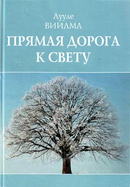 Лууле Виилма Прямая дорога к свету обложка книги