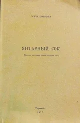 Элла Боброва - Янтарный сок