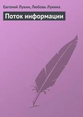 Евгений Лукин Поток информации обложка книги