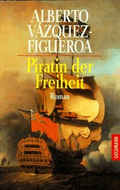 Alberto Vázquez-Figueroa Piratin der Freiheit обложка книги