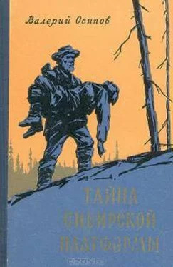 Валерий Осипов Тайна сибирской платформы обложка книги