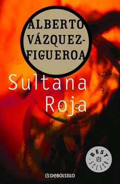 Alberto Vázquez-Figueroa Sultana roja обложка книги