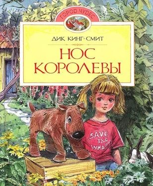 Дик Кинг-Смит Нос королевы обложка книги