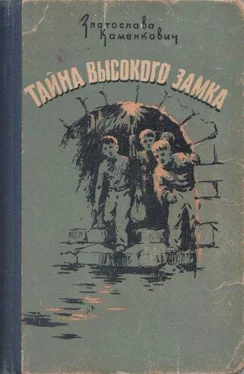 Златослава Каменкович Тайна Высокого Замка обложка книги