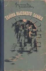Златослава Каменкович - Тайна Высокого Замка