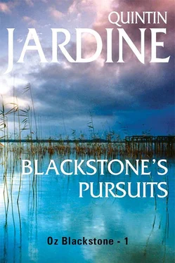 Quintin Jardine Blackstone's pursuits обложка книги